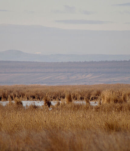 Far view, (c) Neusiedler See Tourism / Annika Thell