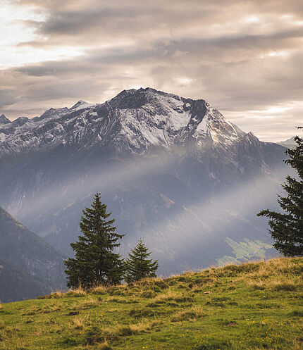 Autumn in the Zillertal. © Zillertal Tourism / Tom Klocker