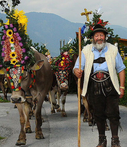 Almabtrieb, ©Alpbachtal Seenland Tourismus / Grießenböck Gabriele