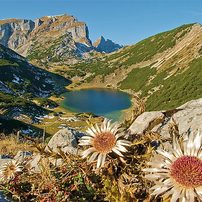 © Alpbachtal Tourismus / Bernhard Berger Ort