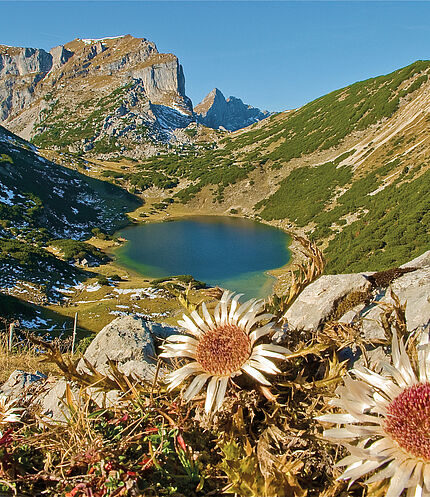 © Alpbachtal Tourismus / Bernhard Berger Ort