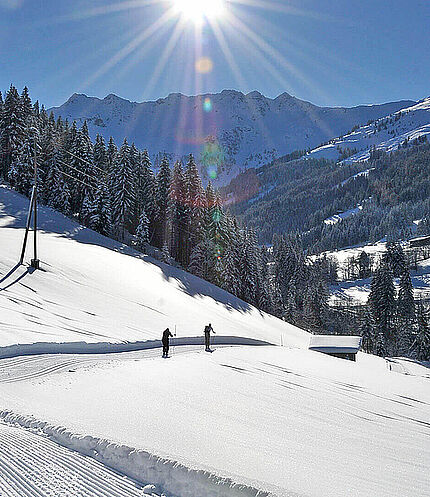 Cross country skiing lake view Toni