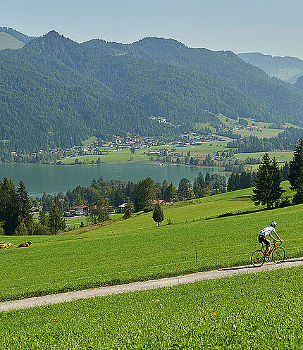 Cycling near Walchsee, (c) Tirol Tourist Board / Marshall George