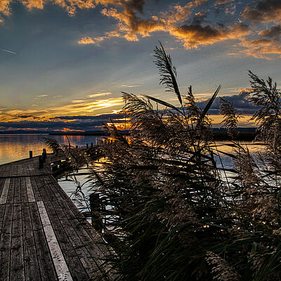 Herbst Neusiedlersee