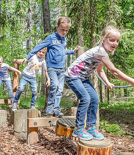 © Forest adventure world