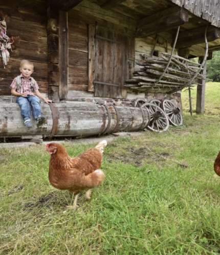 Museum Tiroler Bauernhöfe (c) Alpbachtal Tourismus Grießenböck Gabriele