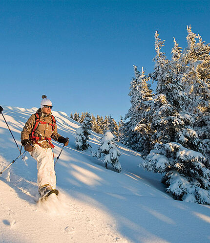 Snowshoeing in the Alpbach Valley, (c) Alpbachtal Tourismus/Berger Bernhard