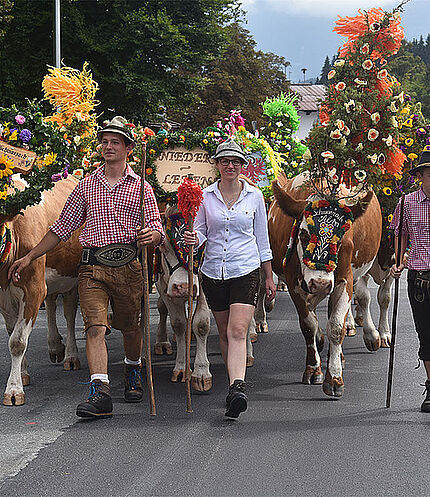 Almabtrieb Fieberbrunn © Marion Pichler