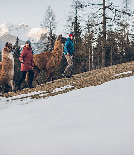 Llama hiking, © Llama hiking(c)TZA_C.Jorda(2)
